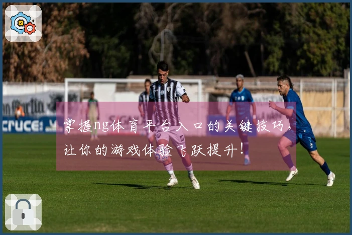 掌握ng体育平台入口的关键技巧，让你的游戏体验飞跃提升！